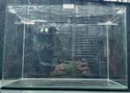 Volgas aquarium, Ophalen, Leeg aquarium