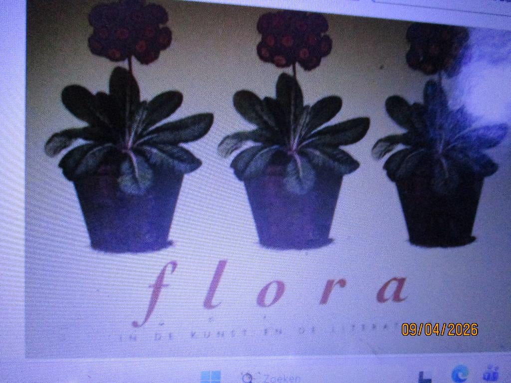 Flora In Kunst En Literatuur Edward Lucie 9789057641503 #, Boeken, Ophalen of Verzenden, Zo goed als nieuw