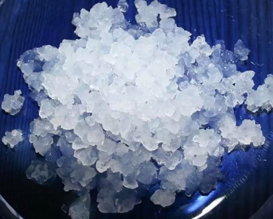 Gratis verse waterkefir korrels., Diversen, Levensmiddelen, Ophalen