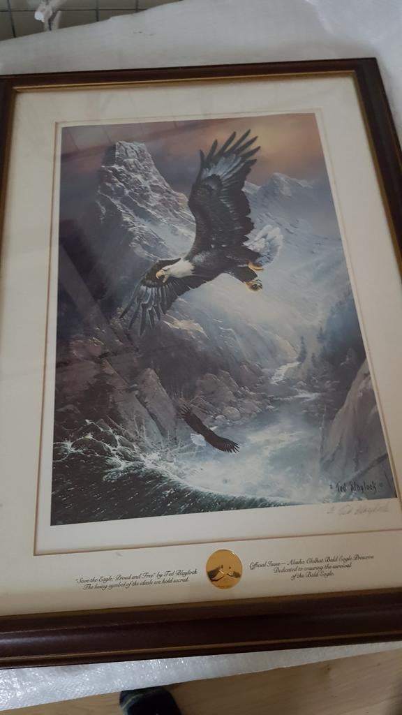 Franklin Mint ,Ted Blaylock "Save the Eagle, Preserve the Tr, Huis en Inrichting, Ophalen of Verzenden, Nieuw, Minder dan 50 cm