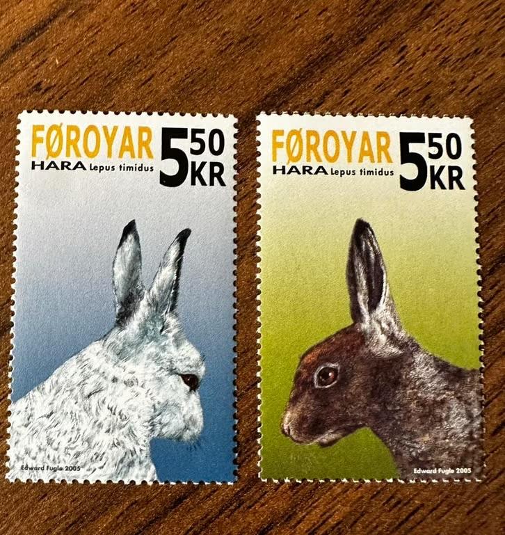 Faroer 2005 Sneeuwhaas postfris dieren hazen, Ophalen of Verzenden, Denemarken, Postfris