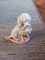 Vintage Porseleinen Poedel Beeldje, Ophalen of Verzenden