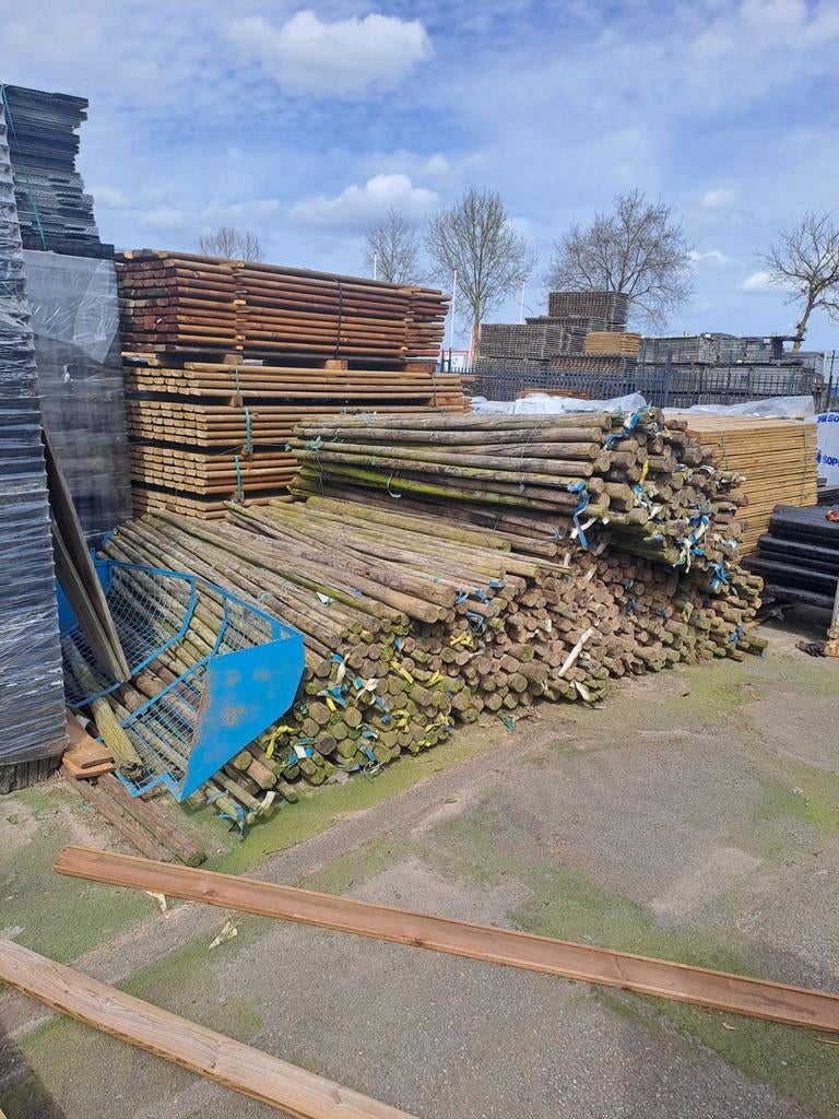 Boompalen, Ophalen, Volle zon, Overige soorten, Minder dan 100 cm