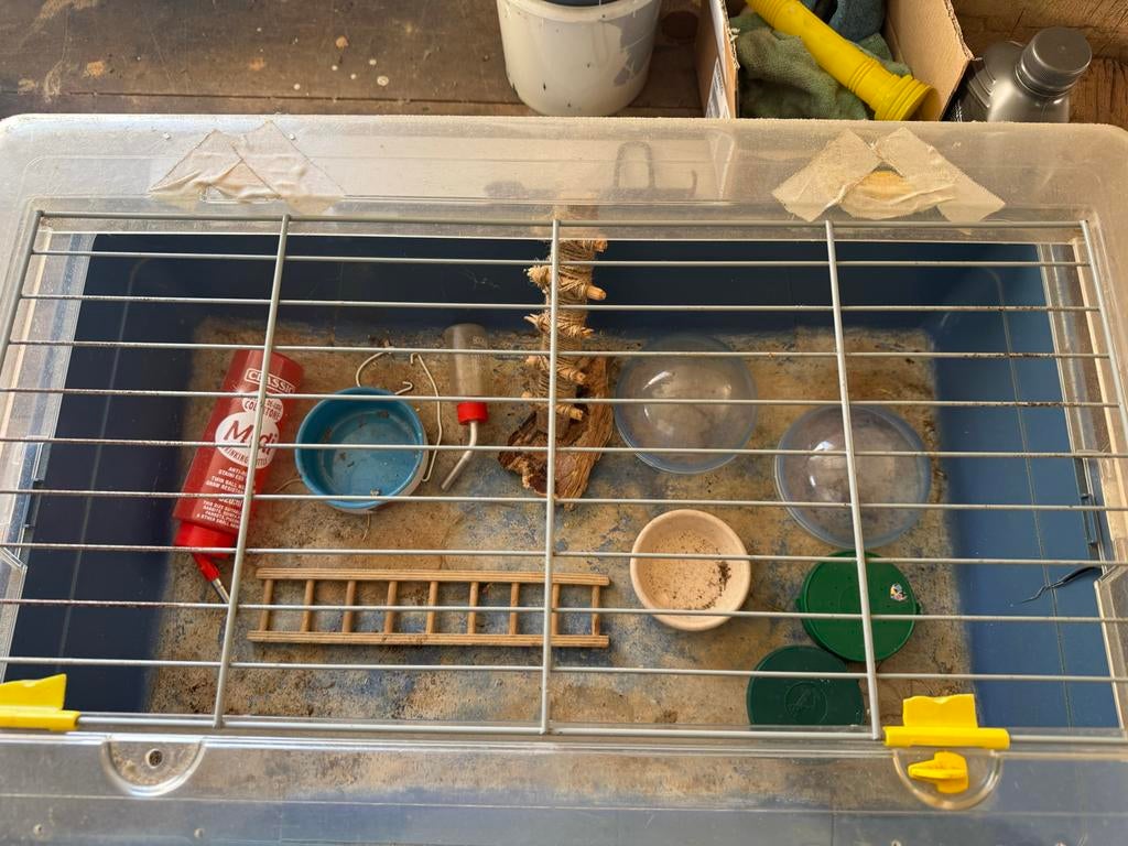 Cavia bak, Minder dan 60 cm, Kooi, Ophalen of Verzenden, 75 tot 110 cm