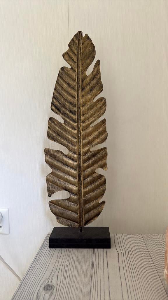 Decoratieve veer 65cm, Ophalen, Zo goed als nieuw