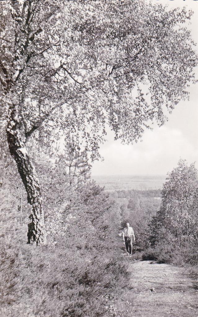 07372 Zeddam - Panorama Montferland - gel. 1964, Verzamelen, Ansichtkaarten | Nederland, Gelopen, Gelderland, 1960 tot 1980, Verzenden