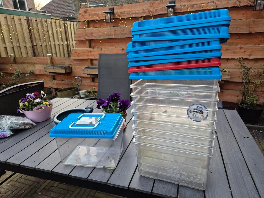 Ferplast fauna box 10 stuks, Ophalen of Verzenden, Zo goed als nieuw