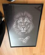 Schilderij van een leeuw, Verzamelen, Ophalen, Zo goed als nieuw, A1 t/m A3, Dier of Natuur