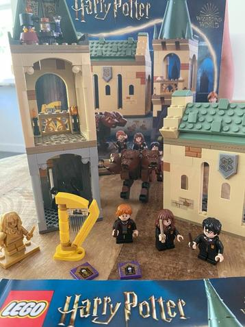 LEGO Harry Potter - Pluizige Ontmoeting – 76387 beschikbaar voor biedingen