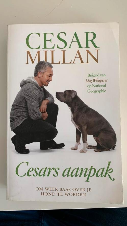 Cesar Millan - Cesars aanpak, Boeken, Dieren en Huisdieren, Zo goed als nieuw, Honden, Ophalen of Verzenden