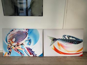  Kleurrijke krab & makreel / vissen panelen beschikbaar voor biedingen