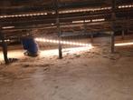 Te koop Hato 24 volt wit ledverlichting pluimveestal, Ophalen of Verzenden, Gebruikt