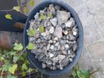 Grind, Tuin en Terras, Ophalen, Gebruikt, Grijs, Overige materialen