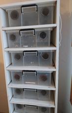 Twee racks inclusief curvers te koop, Dieren en Toebehoren, Ophalen, Gebruikt