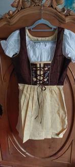 Dirndl Partij -  de laatste Oktoberfest dirndls edelnice, Carnaval, Nieuw, Ophalen of Verzenden, Kleding