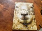 Gezonde schapen, Dr. Piet Vellema, Eén persoon