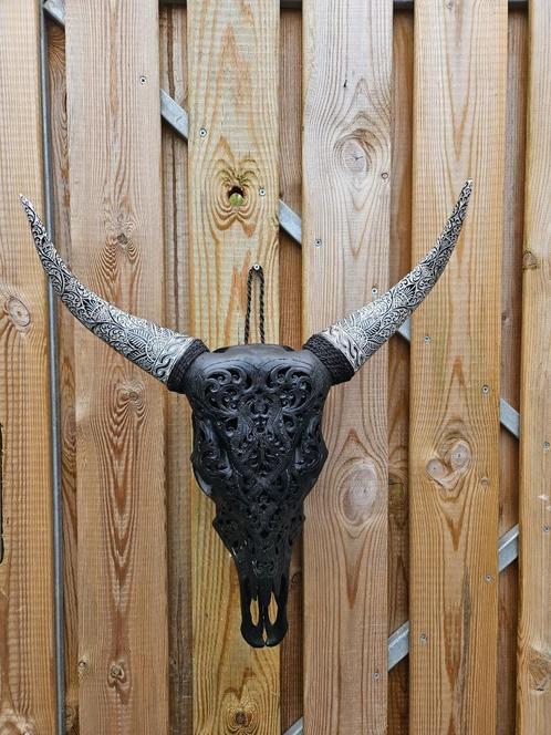 Prachtige hand bewerkte koeschedel, Verzamelen, Dierenverzamelingen, Nieuw, Gewei of Kop, Boerderijdier, Verzenden