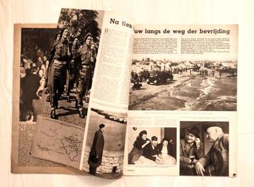 10 jaar bevrijding: special tijdschrift De Spiegel uit 1955 beschikbaar voor biedingen