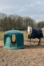 Hooistolp, Dieren en Toebehoren, Stalling en Weidegang, Weidegang, 4 paarden of pony's of meer