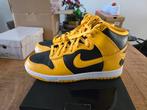 Nike dunk Wutang 42.5 NoT sb air max 1 90 nyc gel 95 97 98, Overige kleuren, Nike, Nieuw, Ophalen of Verzenden