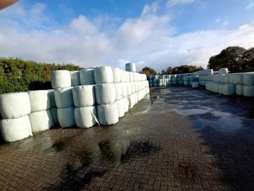 Midi Balen 1e kwaliteit Hooi te Koop beschikbaar voor biedingen