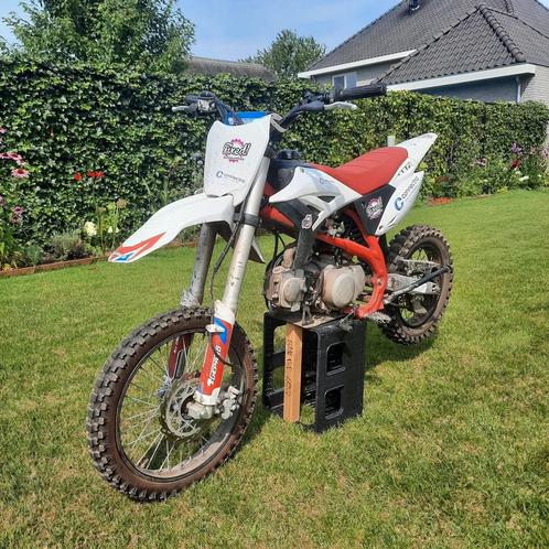 125cc Apollo Gepard 2021 pitbike, Motoren, Onderdelen | Honda, Ophalen