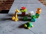 Duplo jonge dieren setno.10801 kompleet, Ophalen of Verzenden, Zo goed als nieuw, Complete set, Duplo
