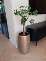 Gouden plantenpot, Huis en Inrichting, Woonaccessoires | Zuilen en Pilaren, Ophalen, Zo goed als nieuw