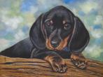 Schilderij teckel puppy met lijst - eigen werk - honden hond, Ophalen of Verzenden