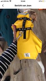 Honden regen jasje, Dieren en Toebehoren, Ophalen of Verzenden, Nieuw