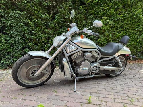 Harley Davidson Chopper V-ROD, Motoren, Motoren | Harley-Davidson, Bedrijf, Chopper, meer dan 35 kW