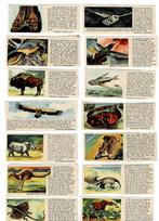 Oude plaatjes van "NIEMEYER DIERENSERIE", Verzenden, Zo goed als nieuw, Overige typen