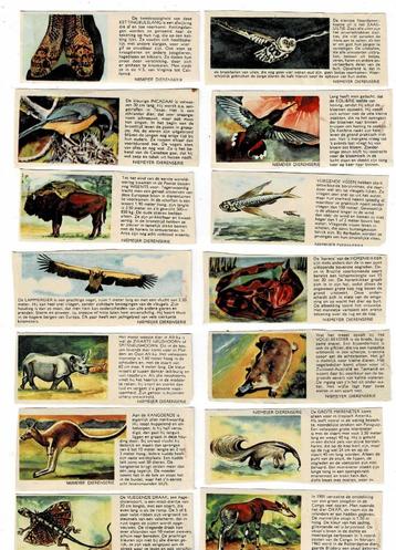 Oude plaatjes van "NIEMEYER DIERENSERIE" beschikbaar voor biedingen