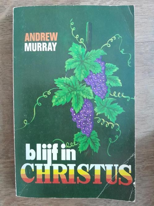 Blijf in Christus  - Andrew Murray, Boeken, Godsdienst en Theologie, Gelezen, Ophalen of Verzenden