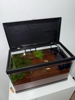 Ciano aquarium, Dieren en Toebehoren, Vissen | Aquaria en Toebehoren, Ophalen, Leeg aquarium