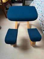 Varier stokke variable, Ophalen, Ergonomisch, Gebruikt, Blauw