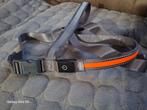 Nieuw halsband, Dieren en Toebehoren, Honden-accessoires, Ophalen, Nieuw