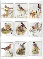 VOGEL KAARTJES, Verzenden
