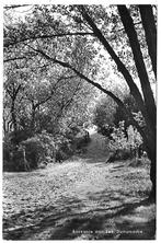 Rockanje aan Zee Duinpaadje Oude Gelopen Ansichtkaart (1504, Verzamelen, Ophalen of Verzenden, 1960 tot 1980, Gelopen, Zuid-Holland