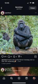 2 tickets apenheul, Tickets en Kaartjes, Twee personen