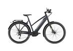 Gazelle CityZen Speed D53 500 watt accu, Fietsen en Brommers, Elektrische fietsen, Nieuw, Ophalen of Verzenden, 50 km per accu of meer