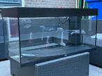 Aquarium/terrarium juwel 100 breed 40 diep 50 hoog, Ophalen, Gebruikt, Leeg aquarium