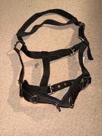 Halster waldhausen, Dieren en Toebehoren, Paarden en Pony's | Hoofdstellen en Tuigage, Ophalen, Nieuw, Overige soorten