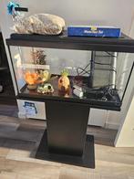 Aquarium aquatlantis, Dieren en Toebehoren, Vissen | Aquaria en Toebehoren, Ophalen, Zo goed als nieuw, Leeg aquarium