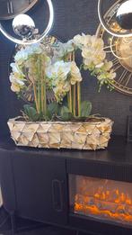 Schelpvaas nieuw brons vazen vaas schelp eric kuster style, Huis en Inrichting, Ophalen of Verzenden, Nieuw