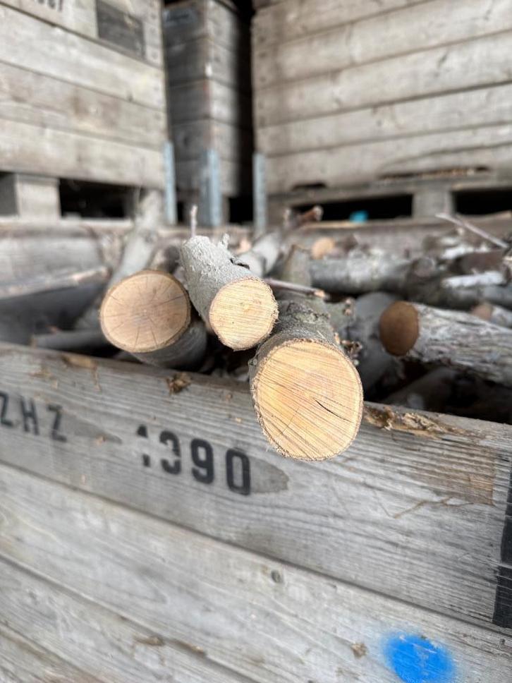 gedroogd appel hout, Tuin en Terras, Haardhout, Stammen, Overige houtsoorten, Minder dan 3 m³, Ophalen of Verzenden