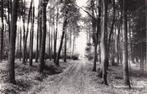 Ansichtkaart Varsseveld Idinkbos, Verzenden, 1960 tot 1980, Gelopen, Gelderland