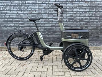 Elektrische Van Raam Thuja  beschikbaar voor biedingen