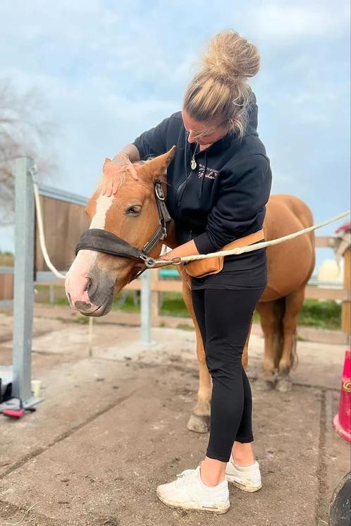 Guasha therapie en Taping, Dieren en Toebehoren, Paarden en Pony's | Verzorgingsproducten, Nieuw, Ophalen