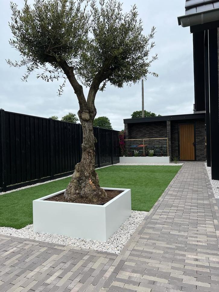 Stalen plantenbakken, Tuin en Terras, Bloembakken en Plantenbakken, Nieuw, Metaal, Binnen, Balkon, Tuin, 60 cm of meer, 100 cm of meer